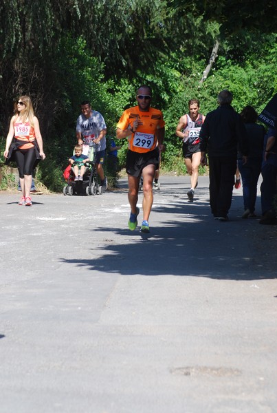 Maratonina di Villa Adriana (31/05/2015) 00092