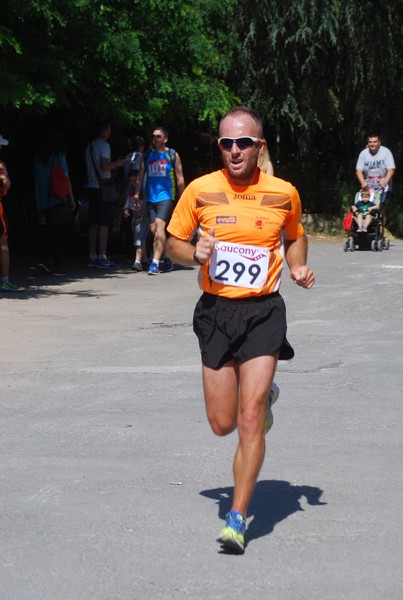 Maratonina di Villa Adriana (31/05/2015) 00098