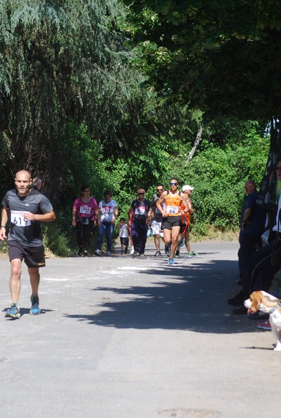 Maratonina di Villa Adriana (31/05/2015) 00100
