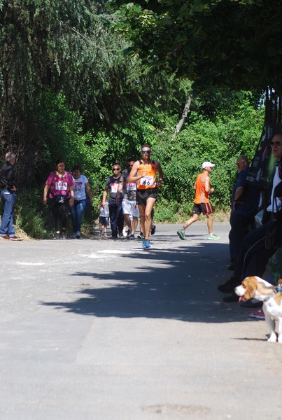 Maratonina di Villa Adriana (31/05/2015) 00101