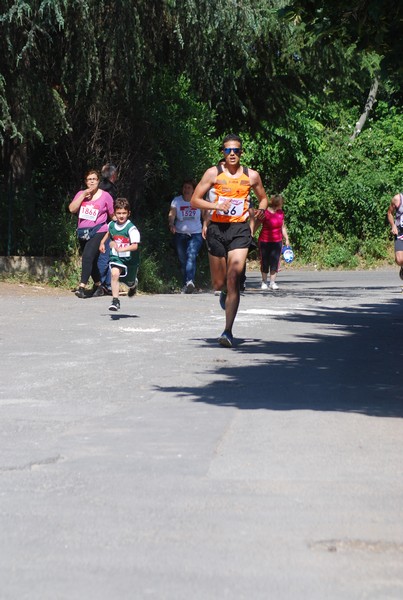 Maratonina di Villa Adriana (31/05/2015) 00105