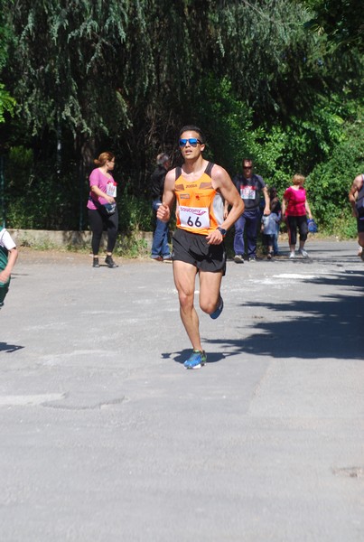 Maratonina di Villa Adriana (31/05/2015) 00108