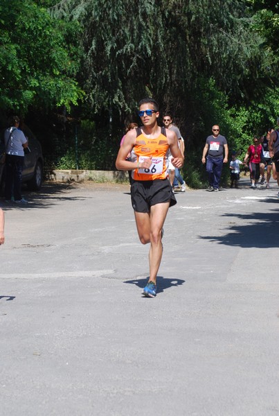 Maratonina di Villa Adriana (31/05/2015) 00110