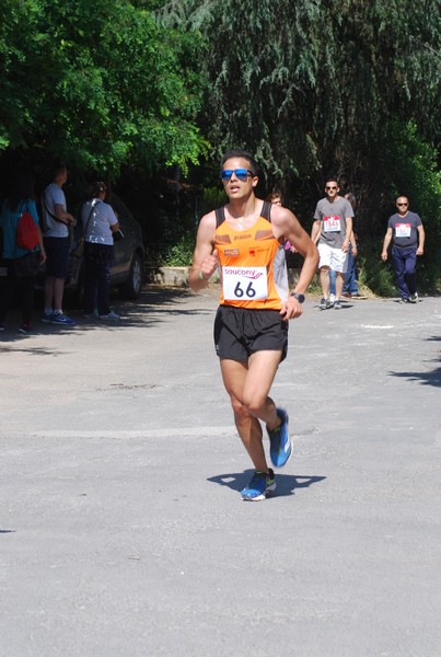 Maratonina di Villa Adriana (31/05/2015) 00111