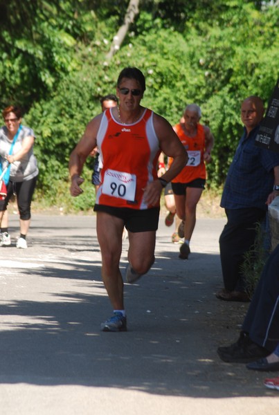 Maratonina di Villa Adriana (31/05/2015) 00115
