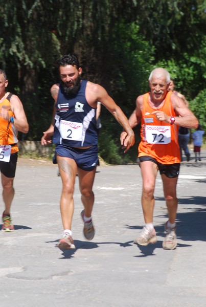Maratonina di Villa Adriana (31/05/2015) 00124