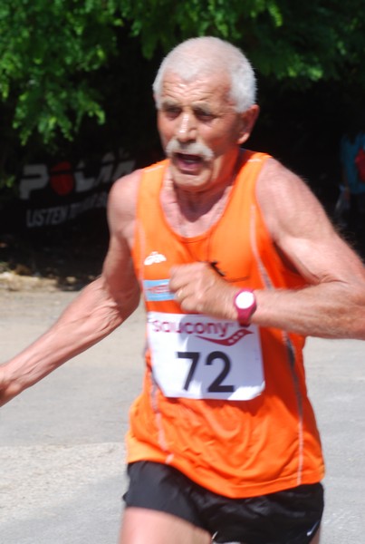 Maratonina di Villa Adriana (31/05/2015) 00127