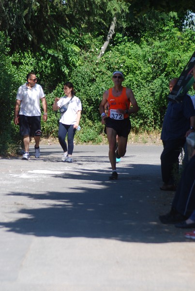Maratonina di Villa Adriana (31/05/2015) 00128