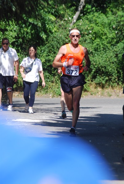 Maratonina di Villa Adriana (31/05/2015) 00130