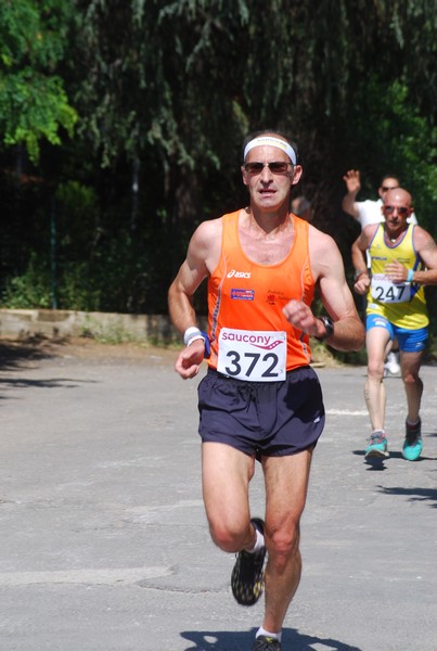 Maratonina di Villa Adriana (31/05/2015) 00134