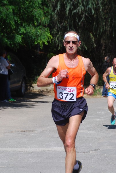 Maratonina di Villa Adriana (31/05/2015) 00135