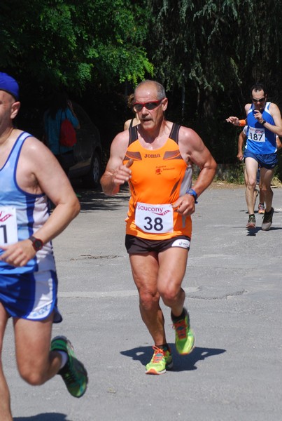 Maratonina di Villa Adriana (31/05/2015) 00155