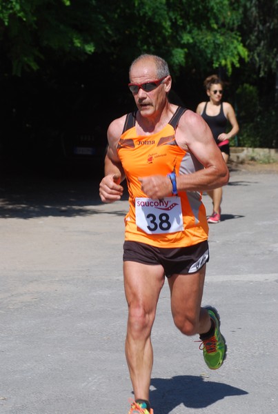 Maratonina di Villa Adriana (31/05/2015) 00156