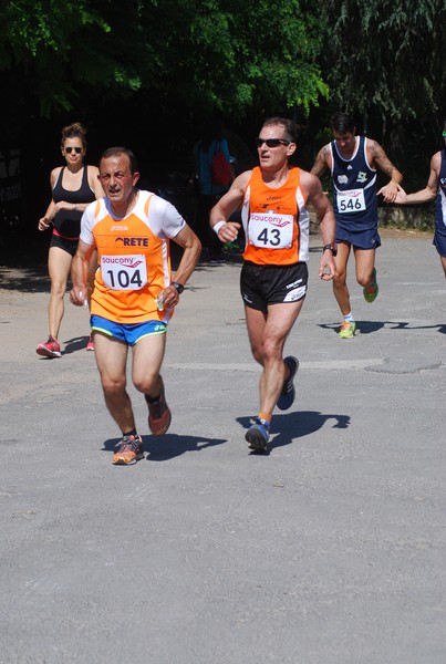 Maratonina di Villa Adriana (31/05/2015) 00157