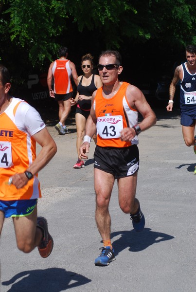 Maratonina di Villa Adriana (31/05/2015) 00159