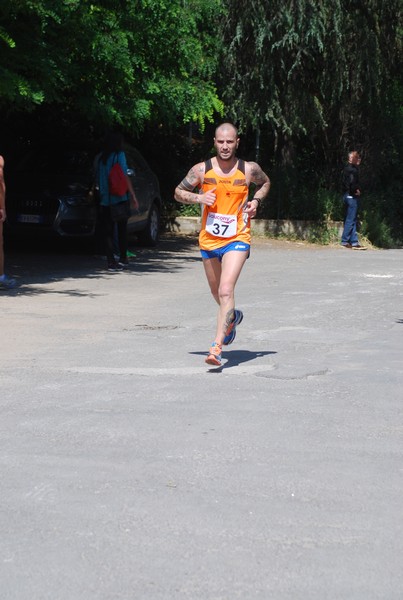 Maratonina di Villa Adriana (31/05/2015) 00161