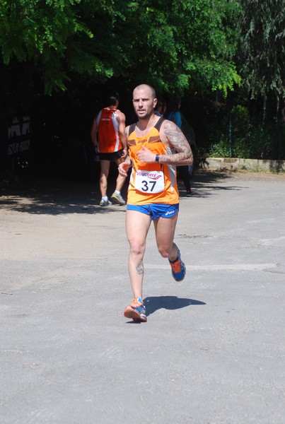 Maratonina di Villa Adriana (31/05/2015) 00163