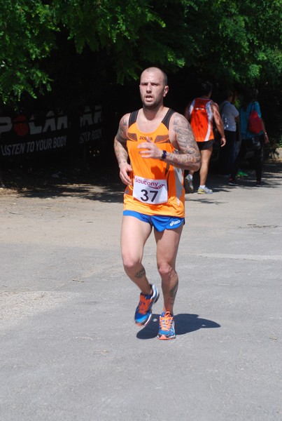 Maratonina di Villa Adriana (31/05/2015) 00164