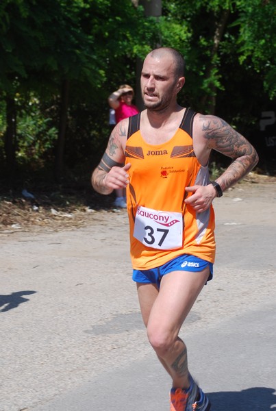 Maratonina di Villa Adriana (31/05/2015) 00166