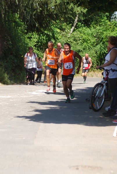Maratonina di Villa Adriana (31/05/2015) 00167