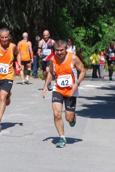 Maratonina di Villa Adriana (31/05/2015) 00170