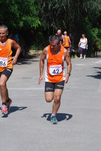 Maratonina di Villa Adriana (31/05/2015) 00172