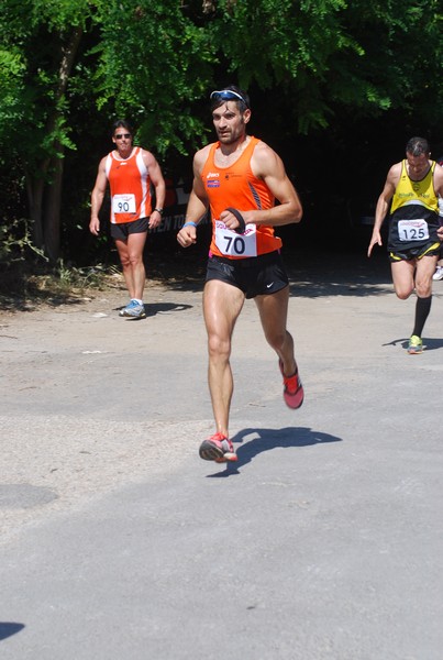 Maratonina di Villa Adriana (31/05/2015) 00177