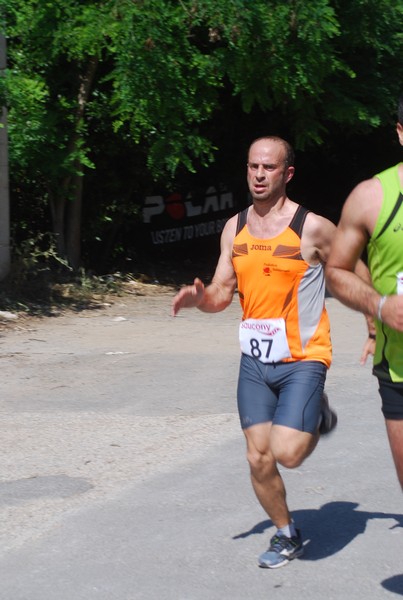 Maratonina di Villa Adriana (31/05/2015) 00181