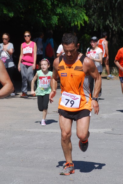 Maratonina di Villa Adriana (31/05/2015) 00188