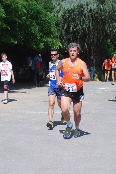 Maratonina di Villa Adriana (31/05/2015) 00194