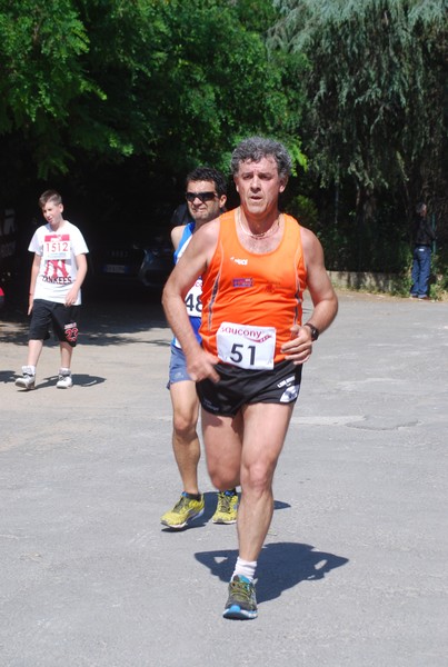Maratonina di Villa Adriana (31/05/2015) 00195