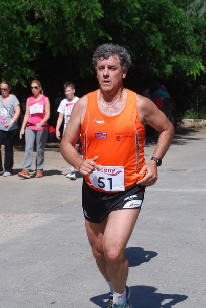 Maratonina di Villa Adriana (31/05/2015) 00196