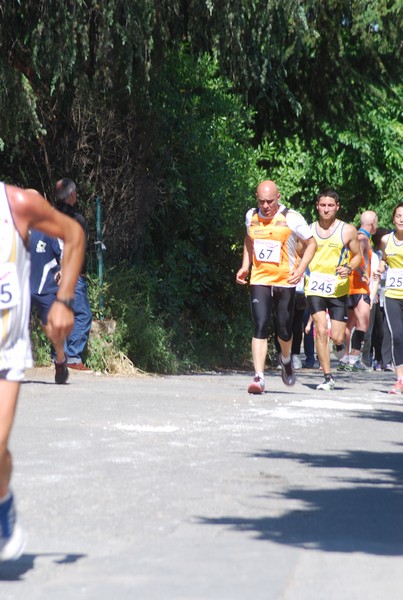 Maratonina di Villa Adriana (31/05/2015) 00214