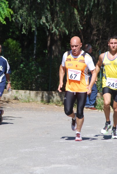 Maratonina di Villa Adriana (31/05/2015) 00218