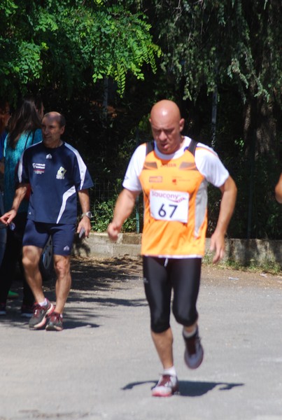 Maratonina di Villa Adriana (31/05/2015) 00220