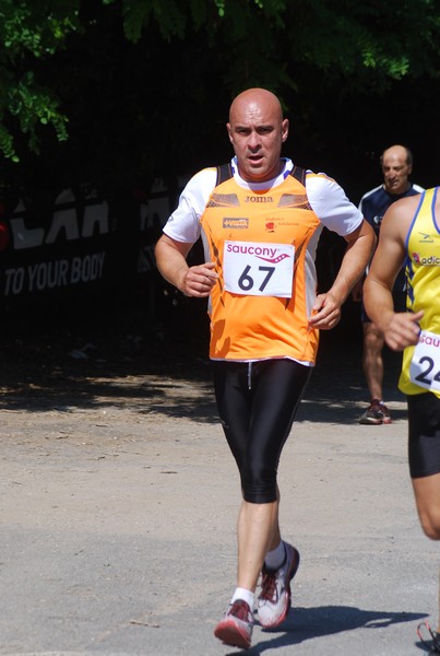 Maratonina di Villa Adriana (31/05/2015) 00224