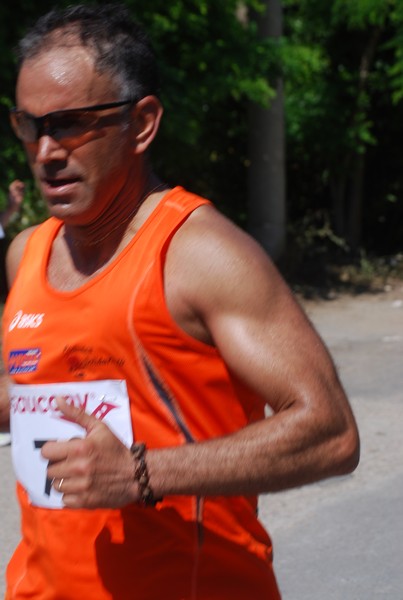 Maratonina di Villa Adriana (31/05/2015) 00229