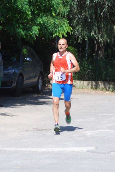 Maratonina di Villa Adriana (31/05/2015) 00230