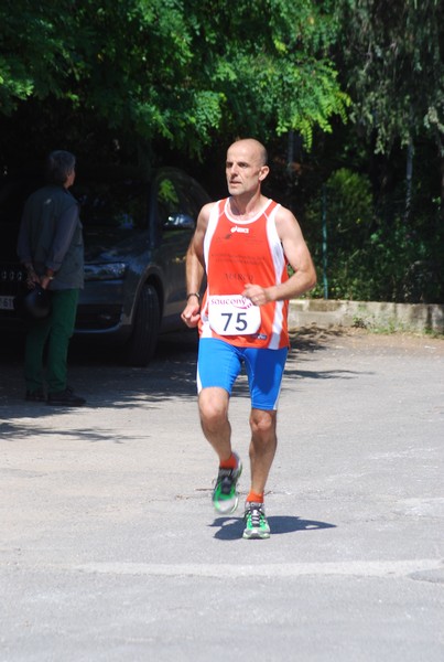 Maratonina di Villa Adriana (31/05/2015) 00231