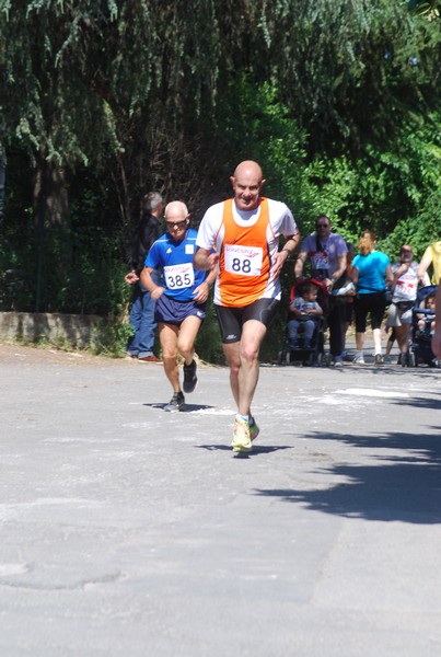 Maratonina di Villa Adriana (31/05/2015) 00233