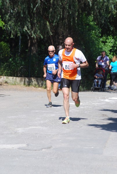 Maratonina di Villa Adriana (31/05/2015) 00234