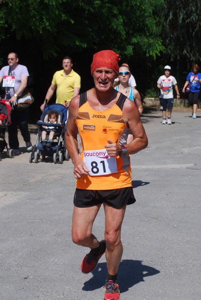 Maratonina di Villa Adriana (31/05/2015) 00247