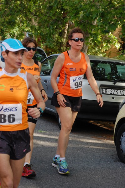 Per Antiqua Itinera (03/05/2015) 00056