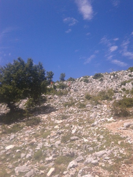 Millennium Trail (21/06/2015) 019