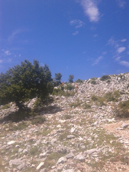 Millennium Trail (21/06/2015) 020