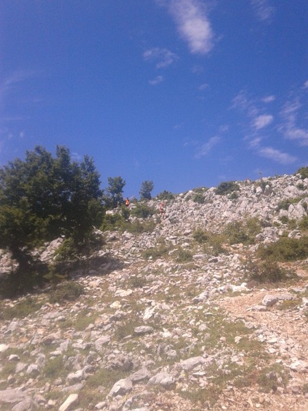 Millennium Trail (21/06/2015) 021