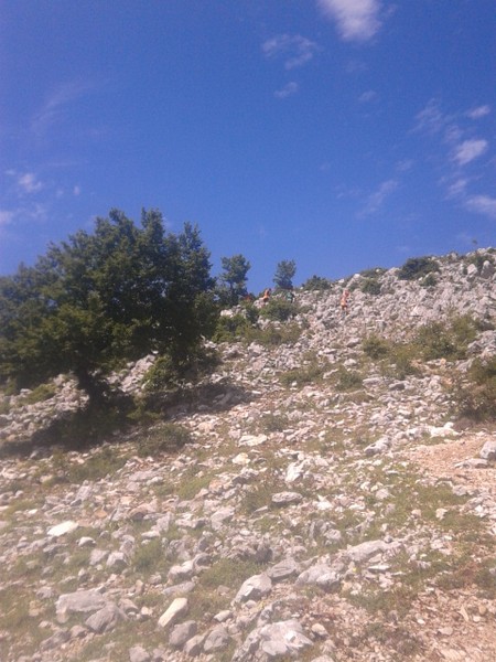 Millennium Trail (21/06/2015) 022