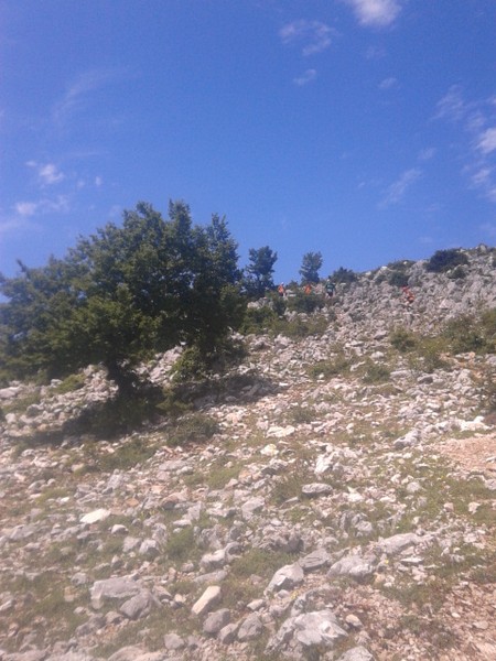 Millennium Trail (21/06/2015) 023