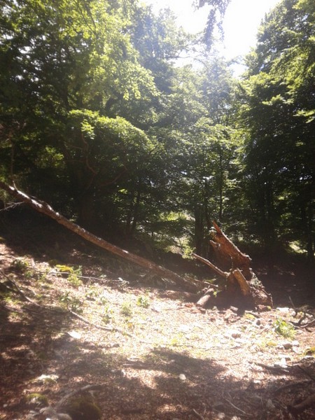 Millennium Trail (21/06/2015) 029