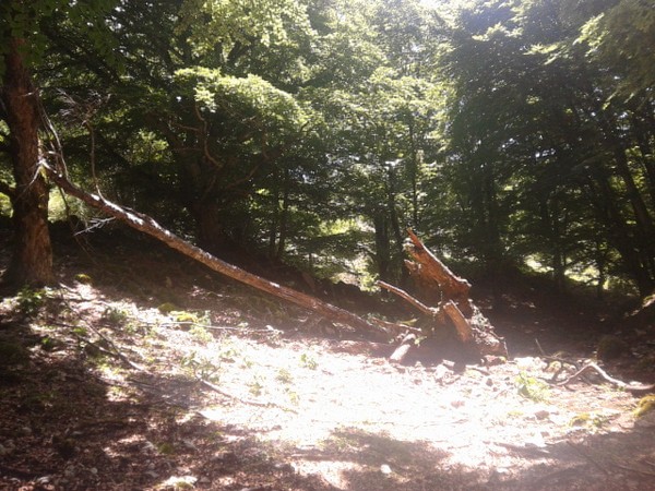 Millennium Trail (21/06/2015) 030